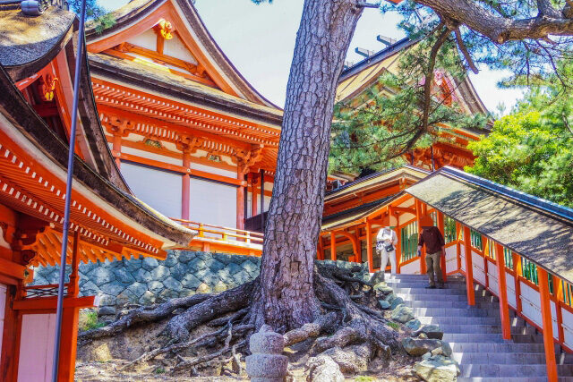 出雲市・日御碕神社