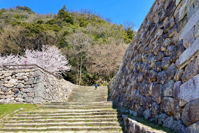 鳥取城の登城道（鳥取市）