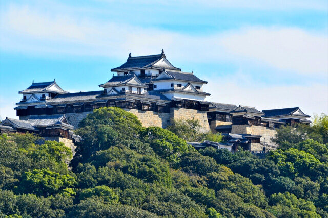 松山市松山城