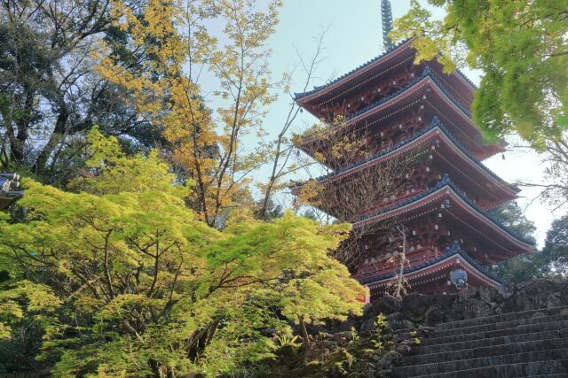 五台山竹林寺　青紅葉（高知市）