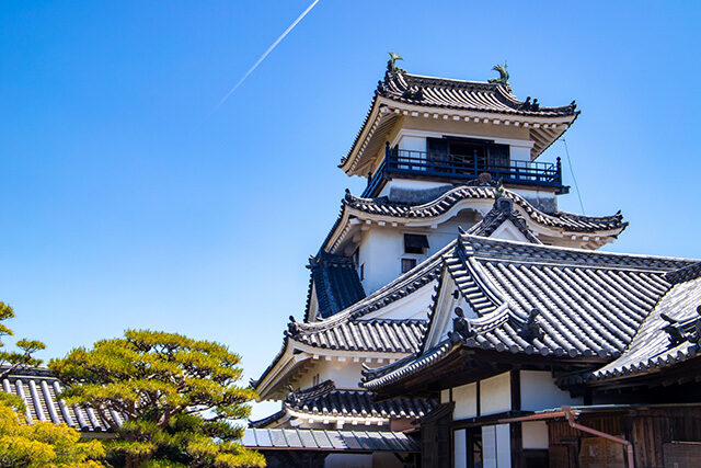 青空の高知城天守閣（高知市）